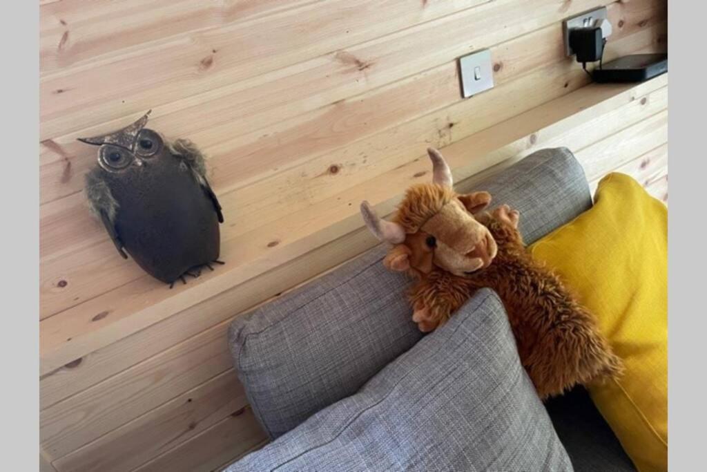 Coorie Doon Cabin! Great Scottish Welcome Fort Augustus Eksteriør billede